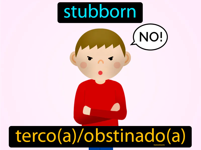 Terco Definition